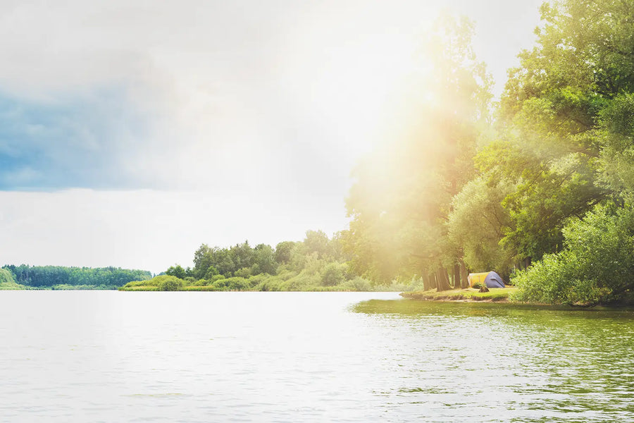 The Benefits of Commercial Electric Dryers in the Summer